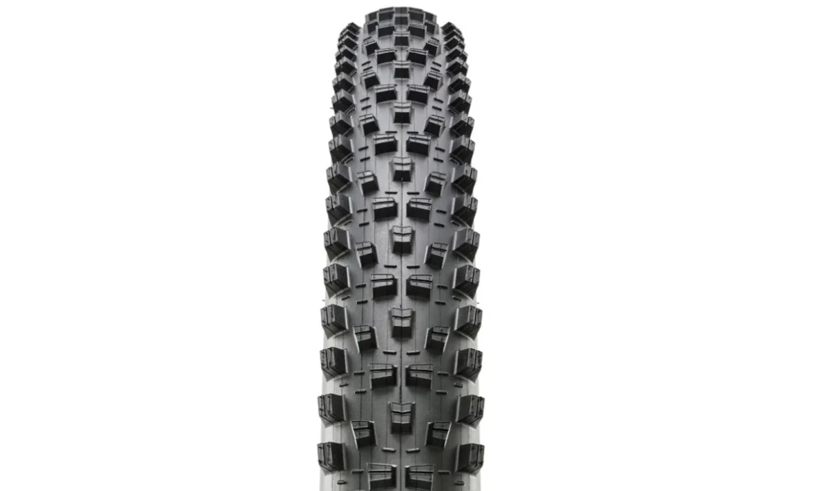 Pneu Maxxis Forekaster - Exo+ Protection - 3C Maxx Terra - Tubeless Ready – Image 2